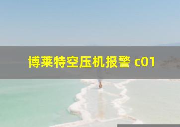 博莱特空压机报警 c01